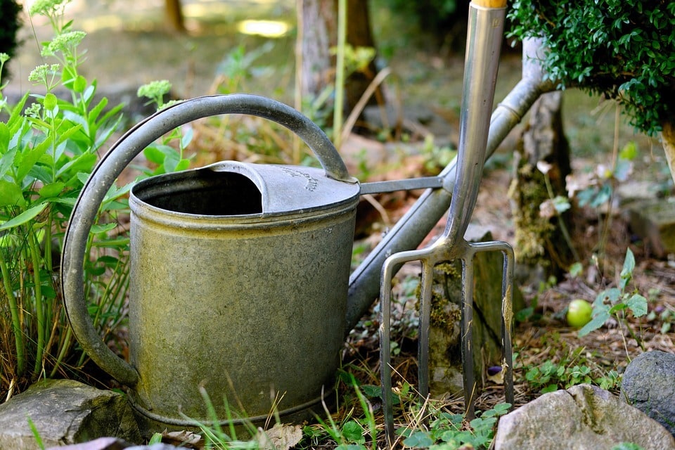 Jardiner sans produits chimiques pour un potager sain